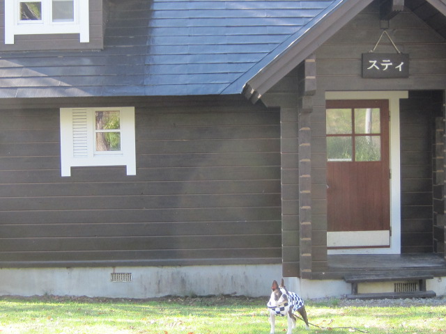 c0265837_2322744.jpg