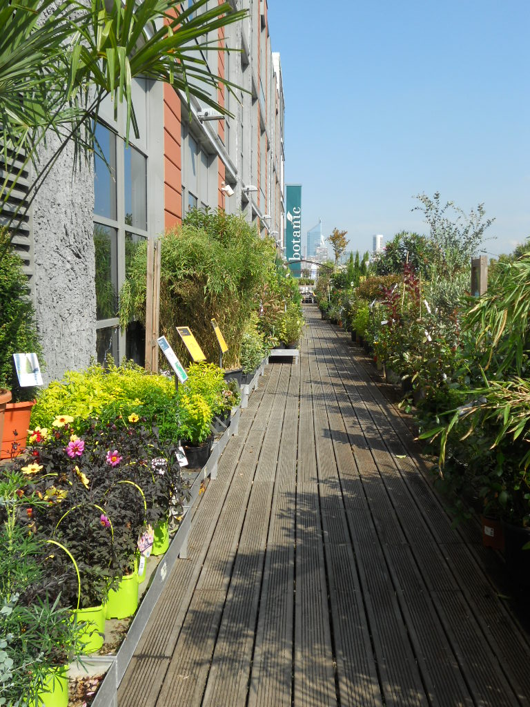 e0300042_541589.jpg