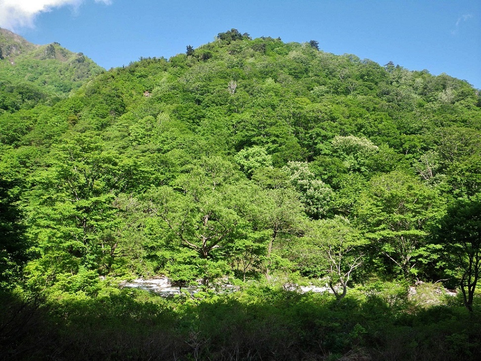 蓬峠　（谷川連峰）_a0286351_225044.jpg