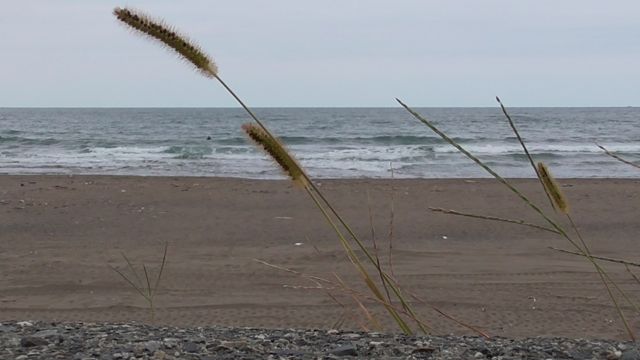 c0254151_22422774.jpg