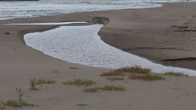 c0254151_22434135.jpg