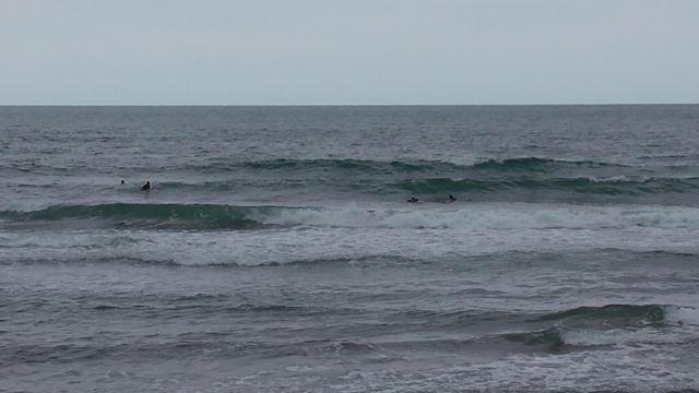 c0254151_2250596.jpg