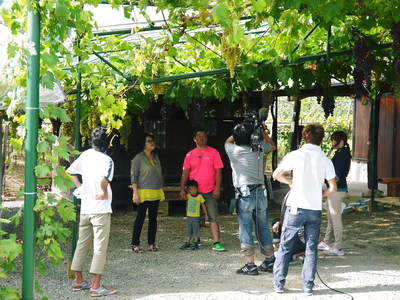 熊本産パイナップル 9月18日(木)テレビタミンで「田代農園」さん生中継決定!!_a0254656_1774680.jpg