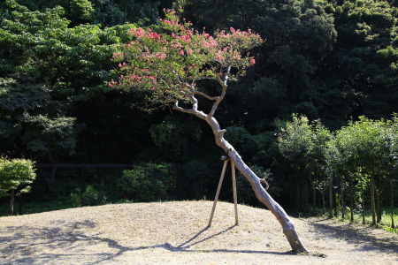 b0087456_8482434.jpg