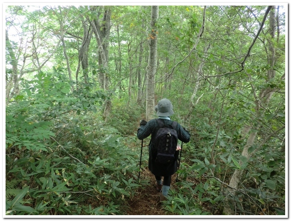 登りたかった日本300名山の大門山_c0311956_17595687.jpg