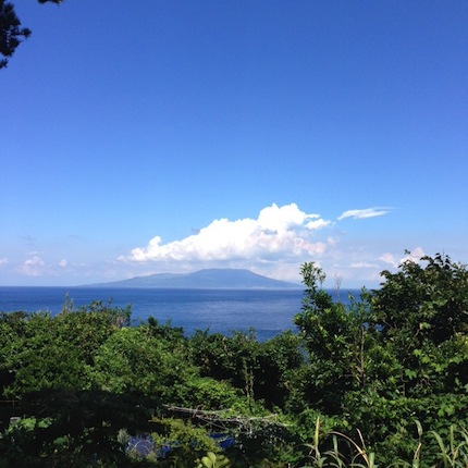 f0054859_1061022.jpg