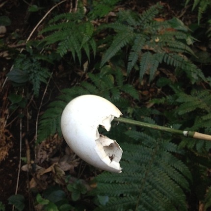 f0054859_1081390.jpg