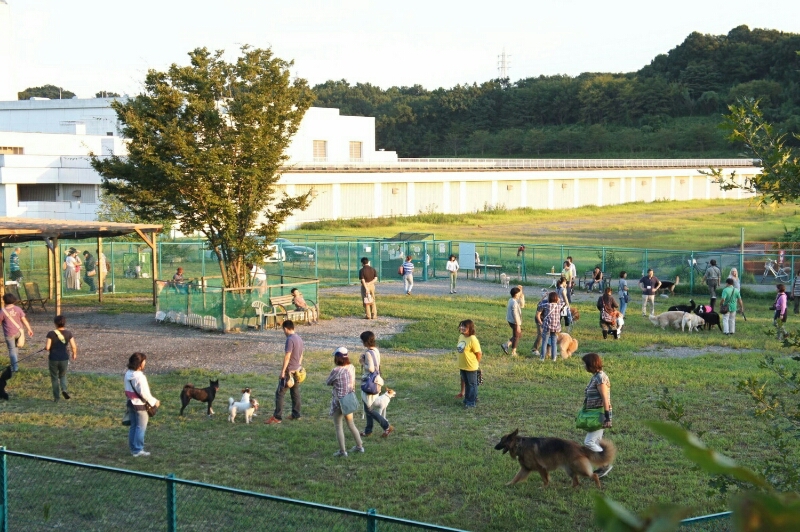 f0230380_01321.jpg