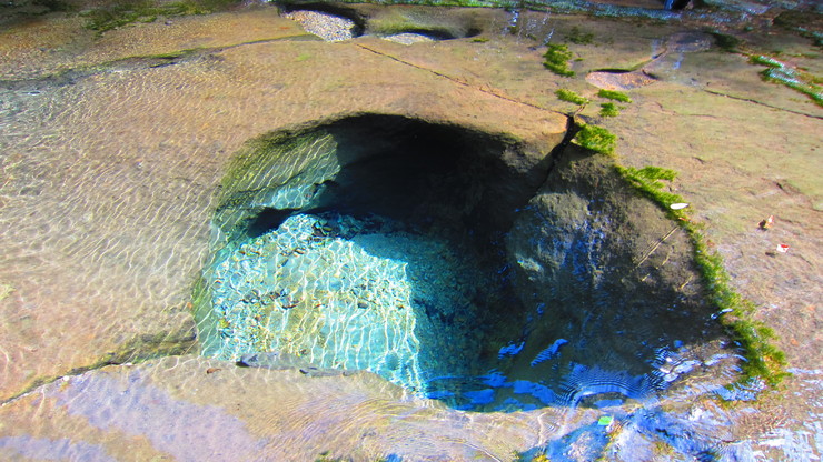 a0242984_4521223.jpg
