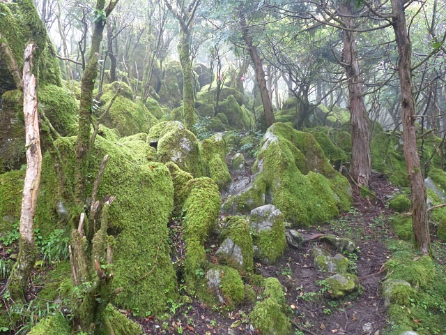 京の丈山（柏川林道から）_f0357487_23232213.jpg