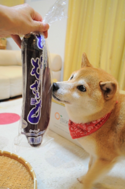 おいしっくす全部食べました！_a0126590_00343250.jpg