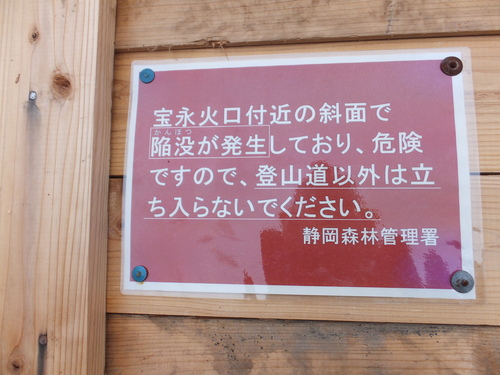 a0271502_1416929.jpg