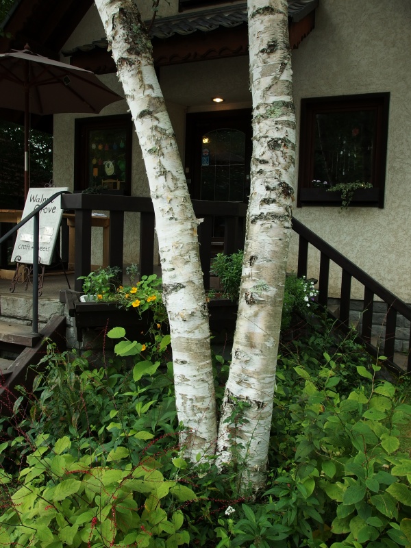 e0039703_22382567.jpg