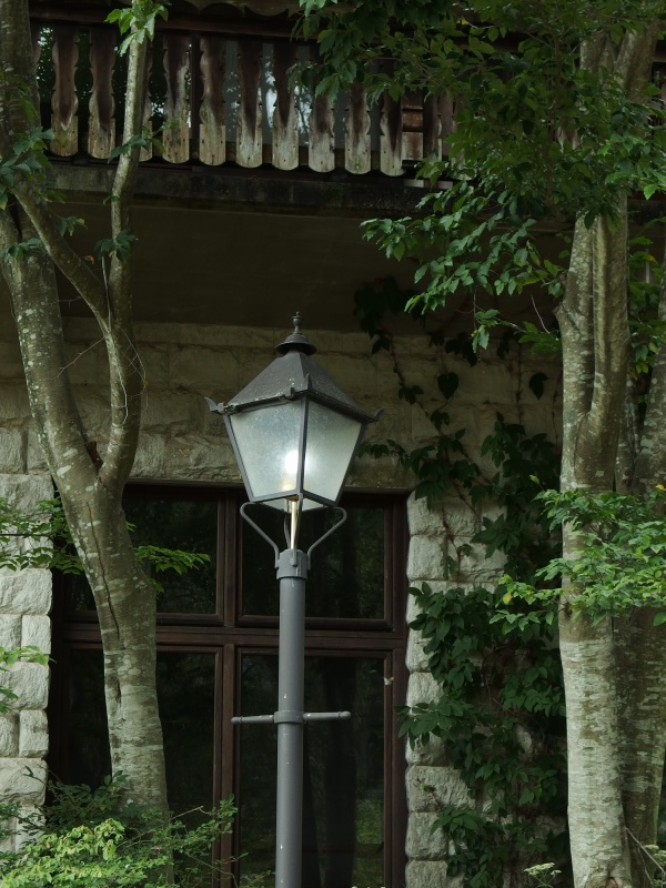 e0039703_22422617.jpg