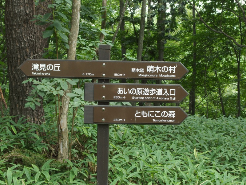 e0039703_22435334.jpg