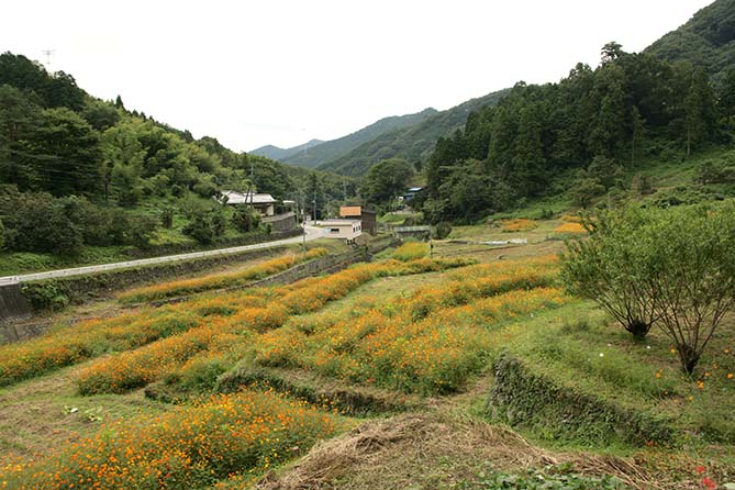 a0087804_12255837.jpg