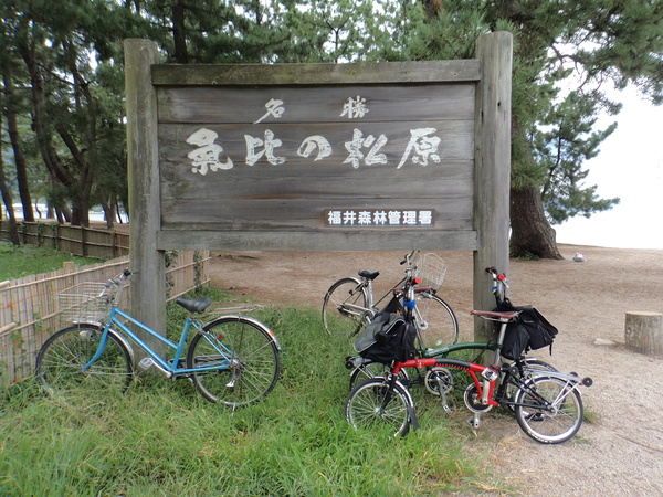 福井・若狭　海岸通りサイクリング　ブロンプトン_c0266004_18232737.jpg