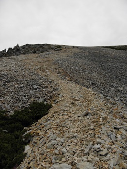d0032405_2231251.jpg
