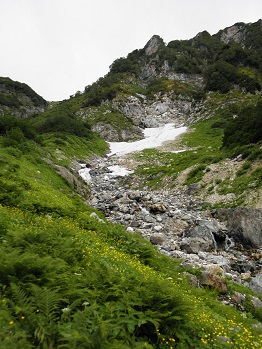 d0032405_236637.jpg