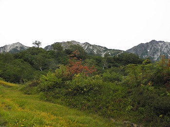 d0032405_2374485.jpg