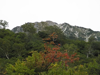 d0032405_2391268.jpg