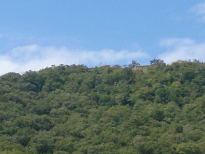 e0252905_21563991.jpg