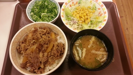 牛丼色々_b0042308_2219504.jpg