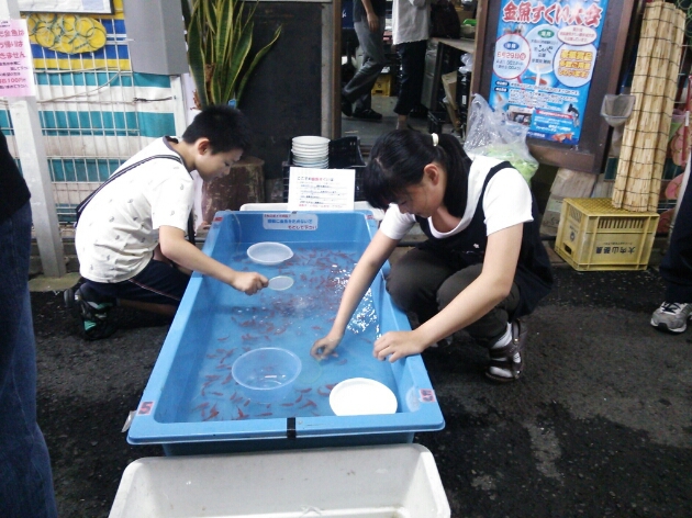 e0278508_1711668.jpg