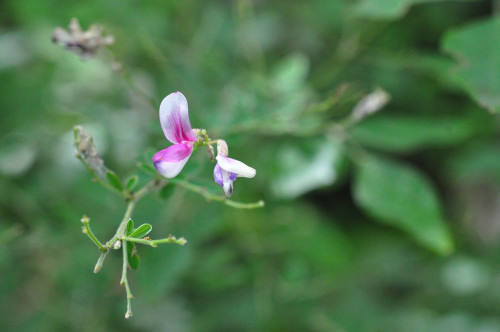 f0188408_1231968.jpg