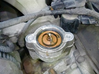 c0118011_1644349.jpg
