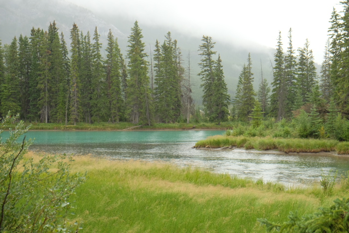 f0218012_827715.jpg