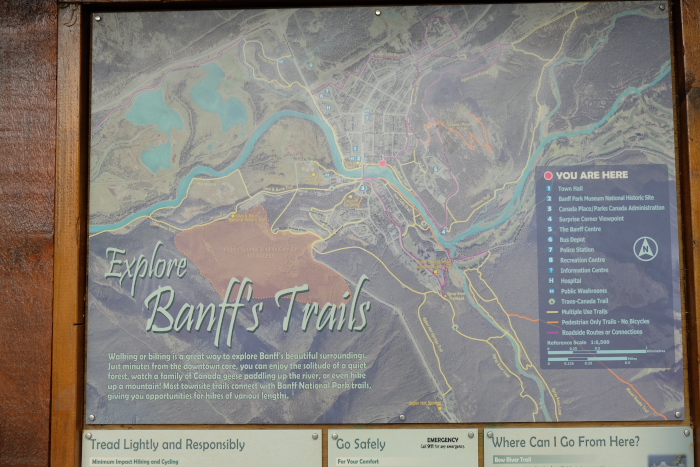 f0218012_835120.jpg