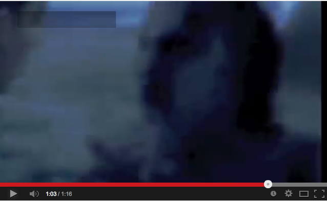人魚の新たなる証拠「Mermaid New Evidence」2:海底原人=海坊主だった!?_e0171614_754058.png