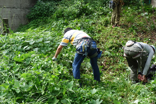 c0223019_849743.jpg
