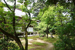 那谷寺（なたでら）_f0097523_1425245.jpg