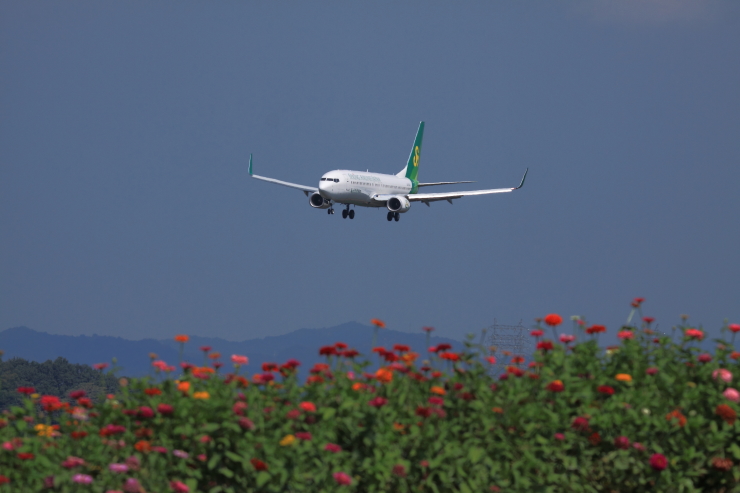 9/16　息子を送って高松空港_a0301737_20434627.jpg