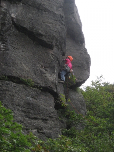 d0107938_12525216.jpg