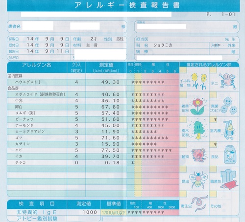 6度目のアレルギー検査結果&血液型判明_a0267942_224519.jpg