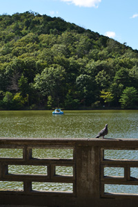 宝ヶ池公園。_d0227246_9354880.jpg