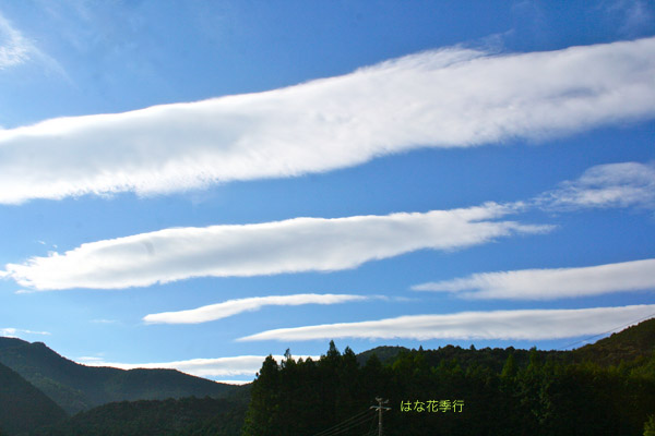 さんま雲 はな花季行 おっ オッ さんま雲 はな花季行 おっ オッ