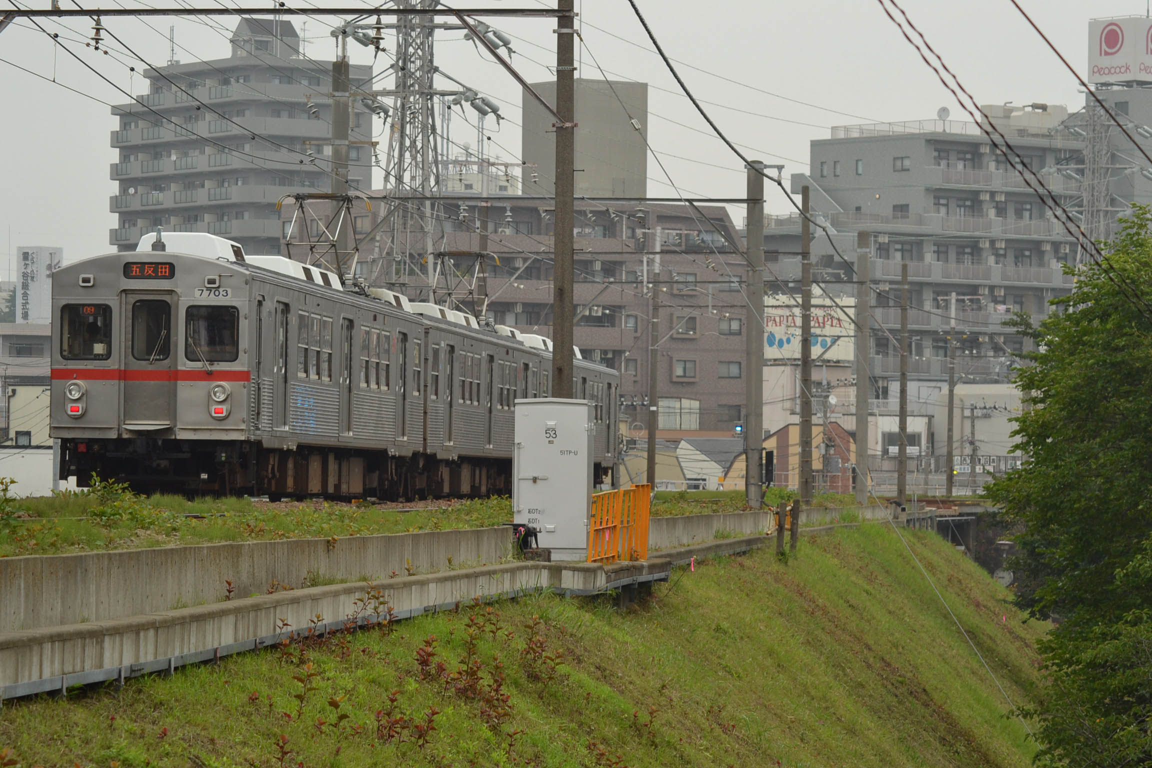 f0113552_2362226.jpg