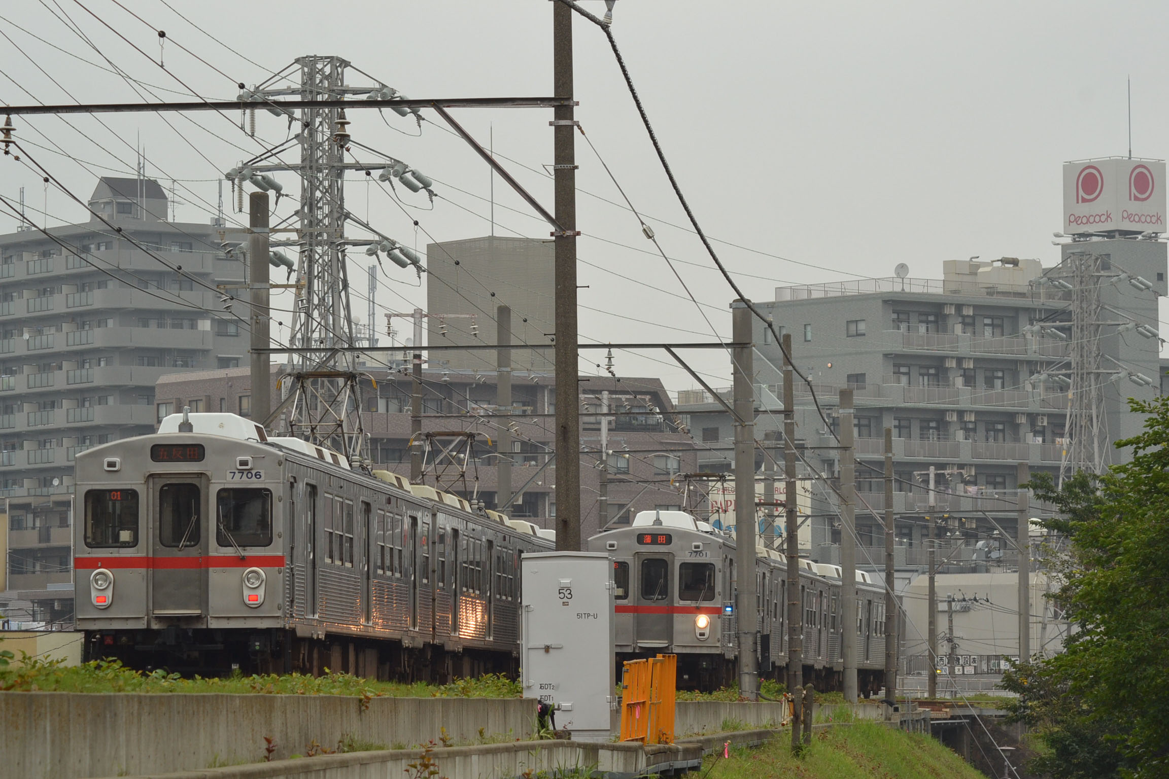 f0113552_2364251.jpg