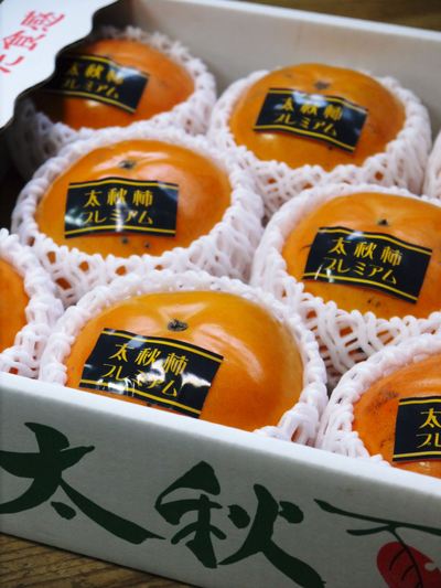 太秋柿 10月10日の初回出荷!!先行予約受付スタート!_a0254656_1410452.jpg
