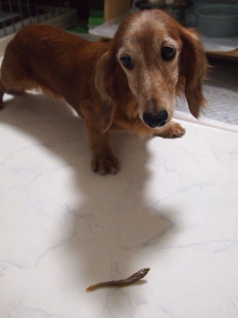 c0299657_8582488.jpg