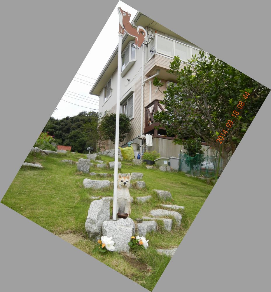 ’14,9,18(木)心ちゃんも淋しがっている!_f0060461_9213883.jpg
