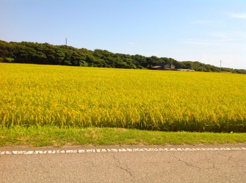 『佐渡 坐・サド 手仕事のおはなし』ご報告_b0153663_16531147.jpg