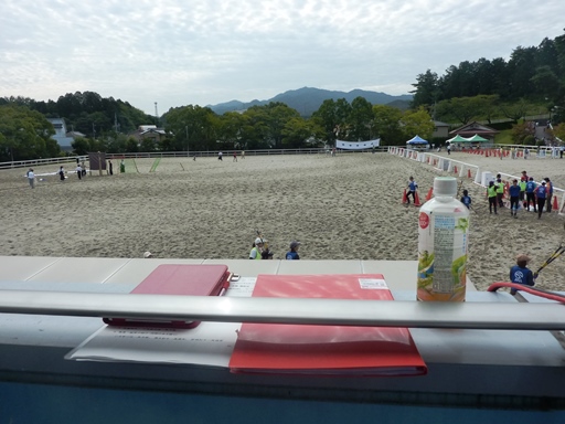 栗東トレーニングセンター「馬に親しむ日」写真_d0015968_18501822.jpg