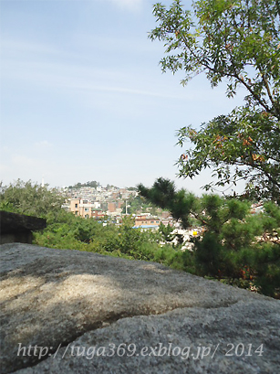 e0029472_954140.jpg