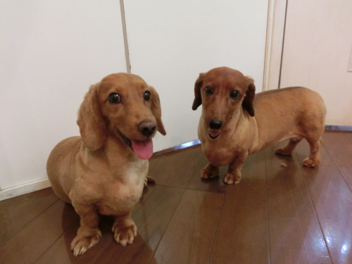 8月のご来店11_f0150073_15530454.jpg