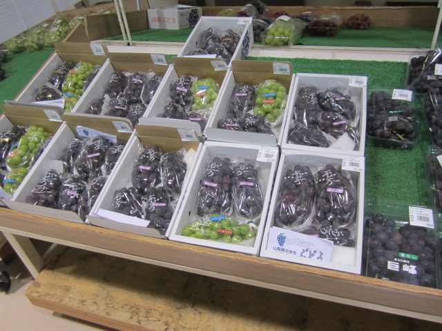 【ドライブ~道の駅とよとみ~】_e0191174_1655487.jpg